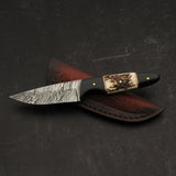 7.5" Damascus Steel Fixed Blade Knife with Buffalo Horn & Sambar Stag Handle – Leather Sheath Included