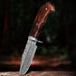 10" Damascus Steel Fixed Blade Knife with Dark Brown Walnut Wood Handle – Leather Sheath Included
