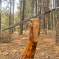 Hand-Forged 36 High Carbon Steel Decorative Sword with Rosewood Handle  Includes Scabbard or Leather Cover